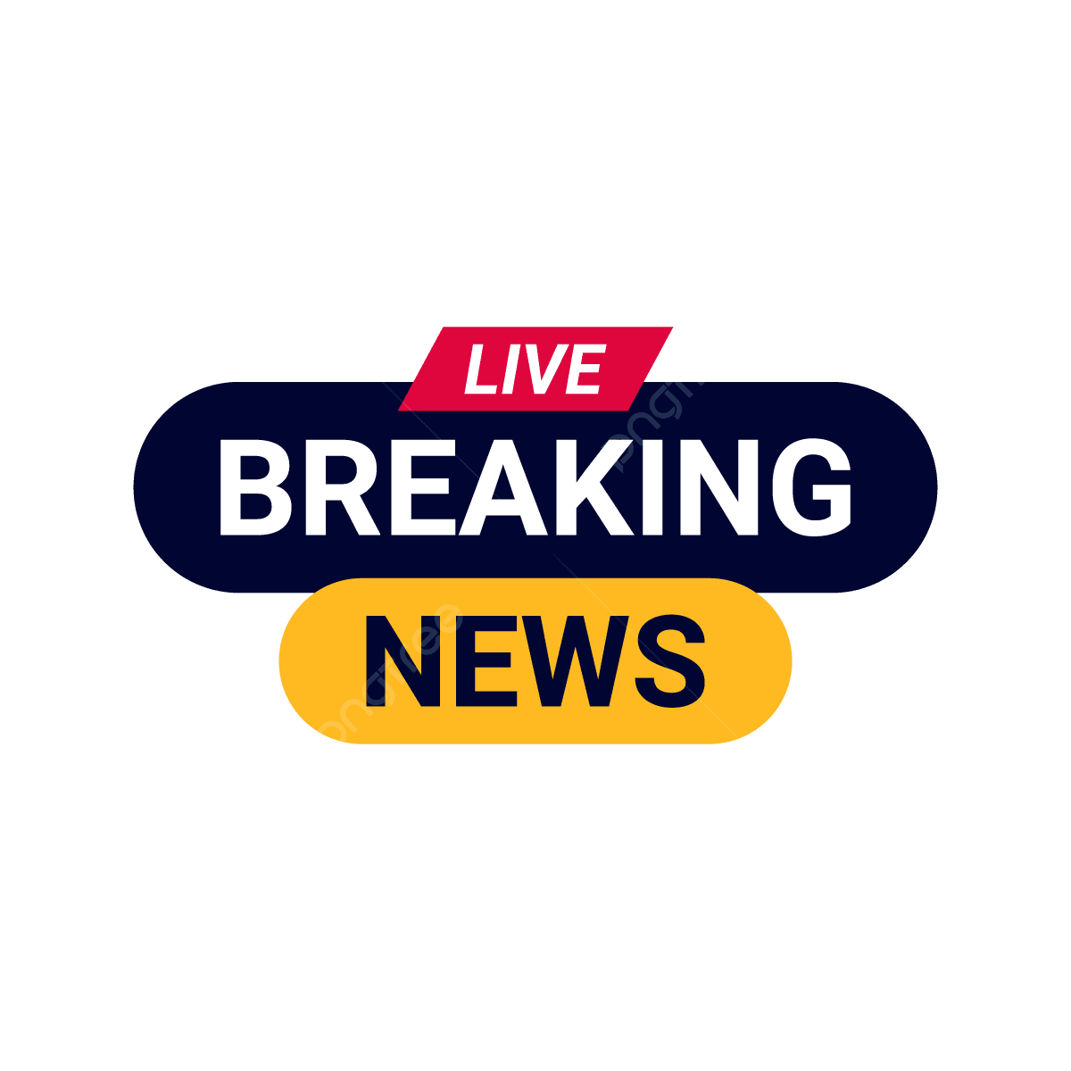 12newslive